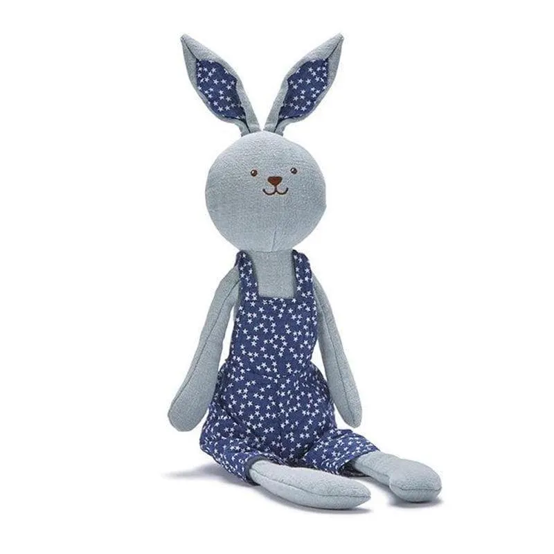 Bluey Bunny